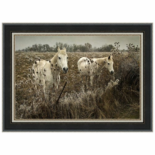 White Horses Framed Print