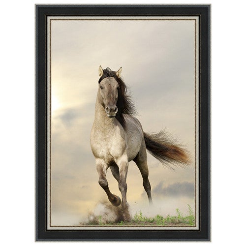 Wild Stallion Black Framed Canvas