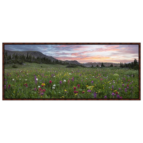 Wildflower Framed Canvas