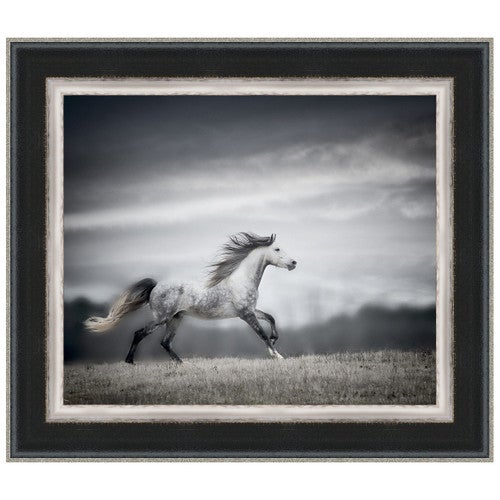 Wind Blown Mane II Framed Print