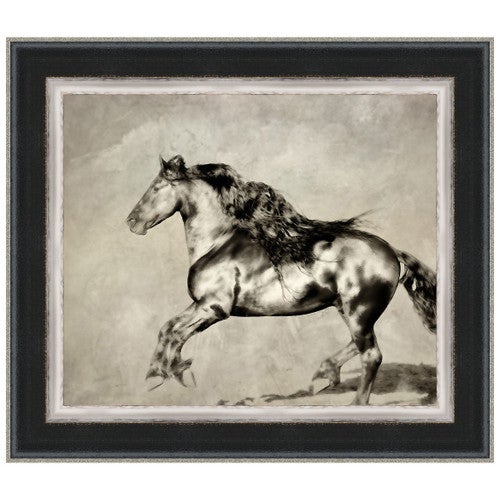 Wind Blown Mane III Framed Print