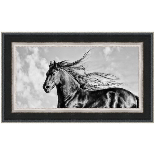 Wind Blown Mane IV Framed Print