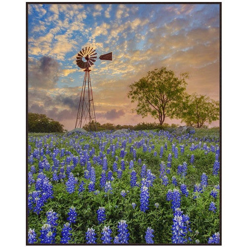 Windmill Sky Canvas Art