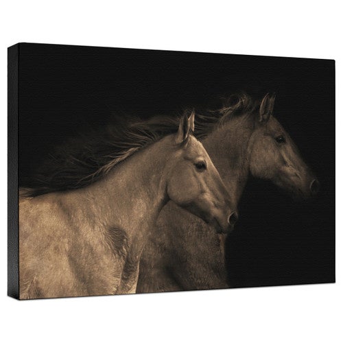 Young Mustangs Gallery Wrapped Canvas