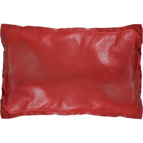 Stagecoach Accent Pillow - OVERSTOCK