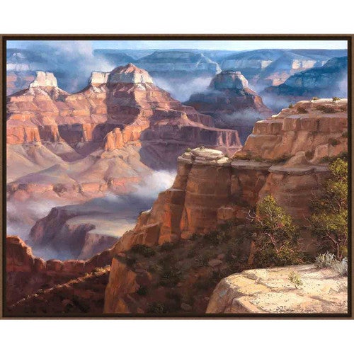 Canyon Majesty Wall Art