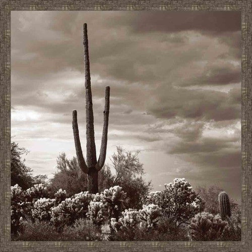 Mojave Evening Wall Art