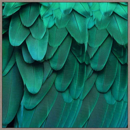 Sonoma Feathers II Wall Art