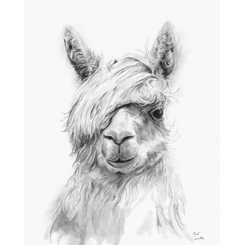 Monochrome Llama VI Canvas Wall Art