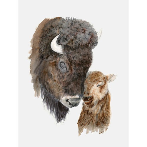 Bison Love Canvas Art