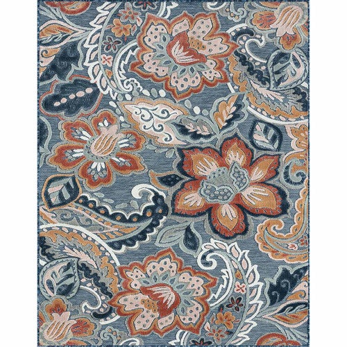 Paisley Plains Indoor/Outdoor Rug - 5 x 7