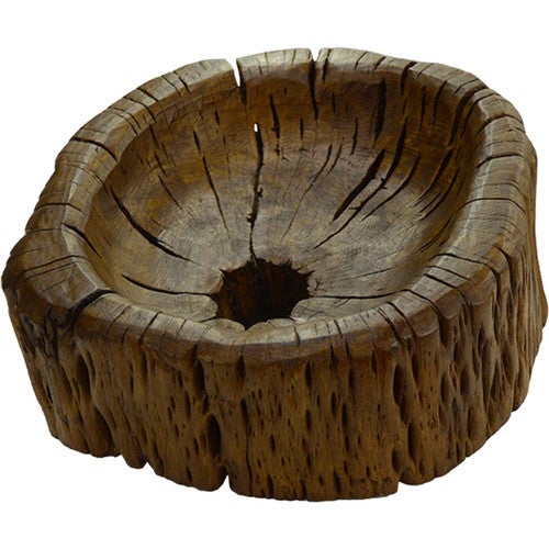 Genuine Cactus Trunk Bowl