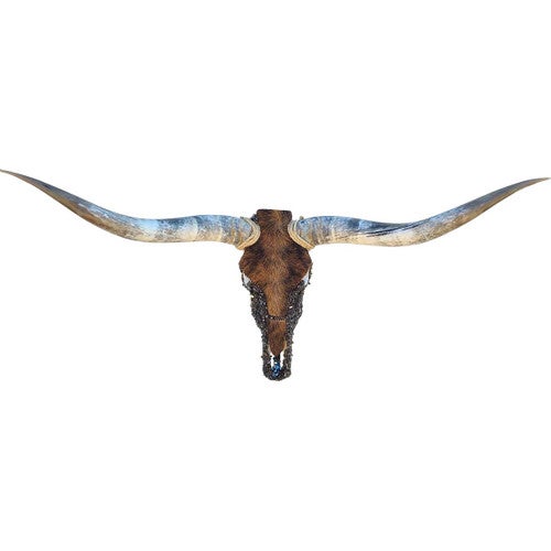 Authentic Longhorn Skull with Brindle Cowhide & Bronze Glass