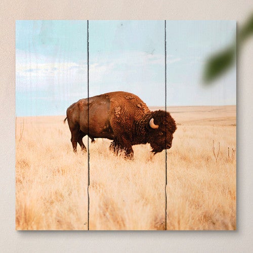 Golden Plains Buffalo Pallet Wall Hanging
