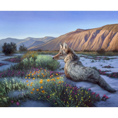 Desert Coyote Limited Edition Print