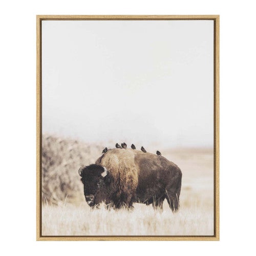 Bison Bird Buddy Framed Wall Art