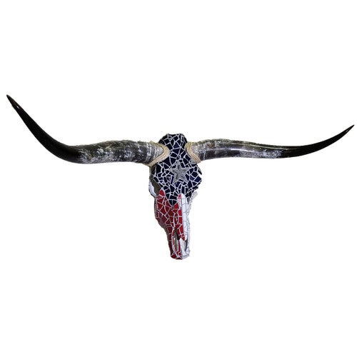 Authentic Black Longhorn Skull with Metal Star