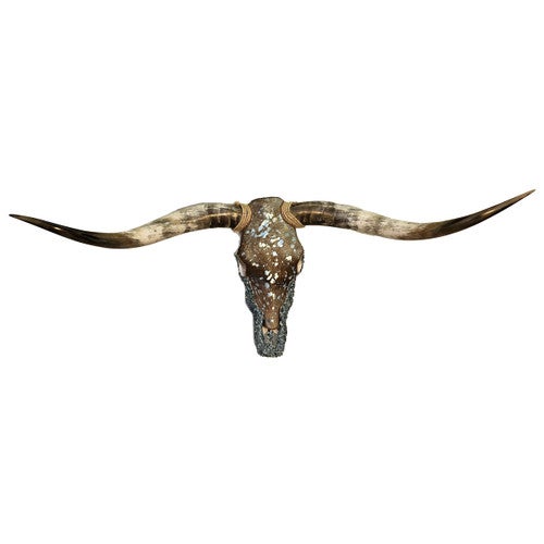 Authentic Longhorn Skull with Acid Wash Turquoise Cowhide & Lagoon Glass