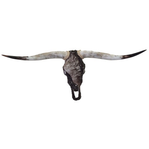 Authentic Longhorn Skull with Brindle Cowhide & Bronze Glass Bands