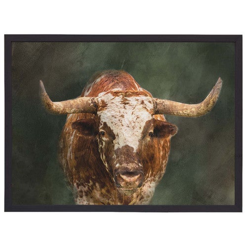 Solemn Texas Longhorn Wall Art