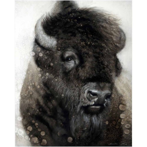 American Beauty Canvas Print