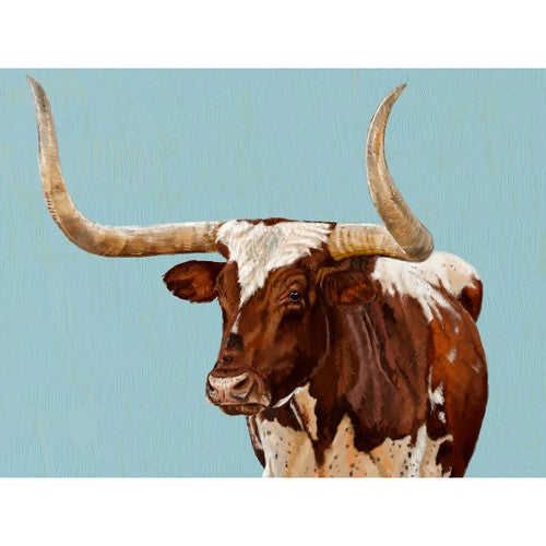 Wary Longhorn on Blue Canvas Print