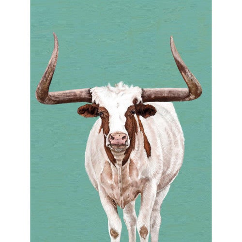 Longhorn Stare Canvas Print
