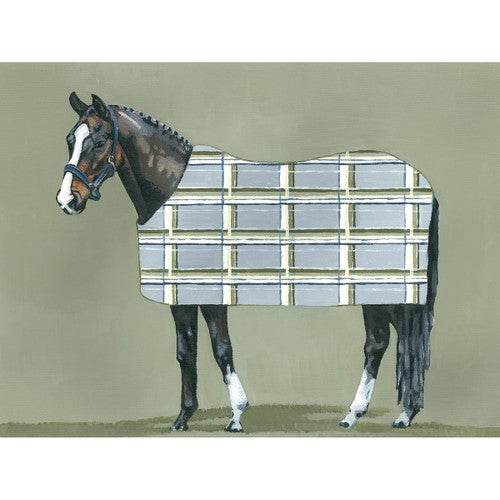 Posing Horse in Gray Canvas Print