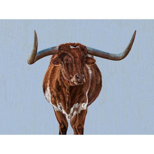 Longhorn Evening Canvas Print