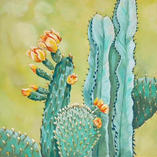 Blooming Cactus Garden Canvas Print