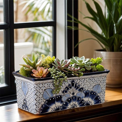 Blue Sky Planter