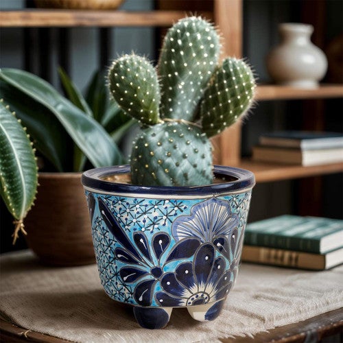 Oliver Plant Holder
