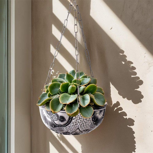 Elevate Hanging Planter