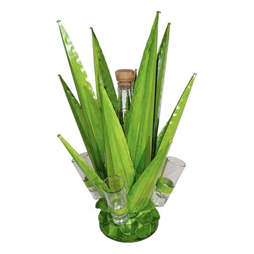 Lime Green Agave Tequila Set - Large