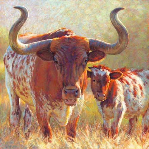 Longhorns in Sunny Field Canvas Print