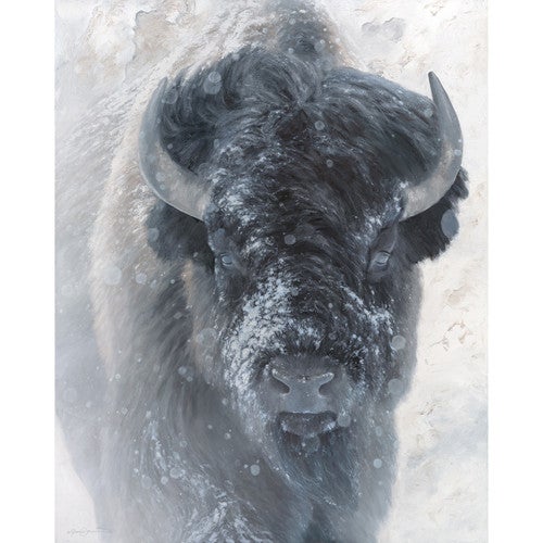 The Storyteller II Limited Edition Print