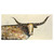 Kaleidoscope Longhorn Neutral Canvas Art