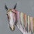 Kaleidoscope Stallion on Gray Canvas Art