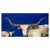 Longhorn Steer and Calf Blue Canvas Art