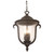 Santa Barbara Outdoor 3 Light Medium Hanging Lantern