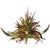 Adaline Three Horn Centerpiece