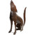 Howling Coyote Metal Sculpture - Large