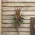 Althea Horn Wall Art