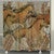 Ancient Paths Shower Curtain - OUT OF STOCK UNTIL 07/04/2025