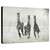 Arriving Gallery Wrapped Canvas