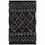 Arturo Black Rug - 2 x 3
