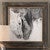 Black and White Horses Framed Print