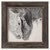 Black and White Horses Framed Print