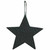 Black Resin Star Shower Curtain Hooks - Set of 12