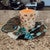 Brands Pillar Candle - 6 Inch